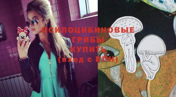 мет Тында
