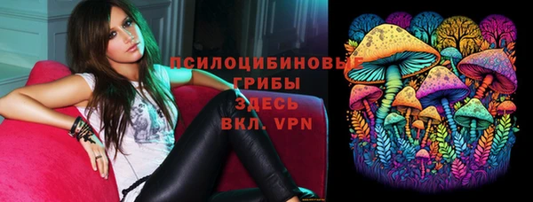 ECSTASY Тихвин